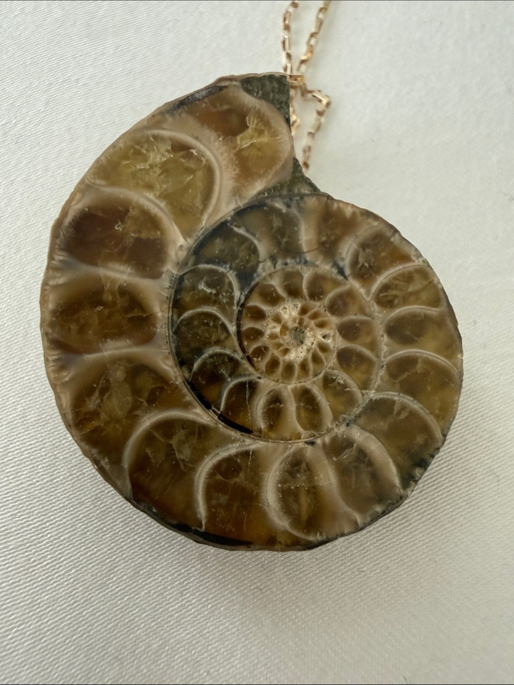 Artisan Brown and Cream Ammonite Pendant Necklace on 18” Sterling silver chain